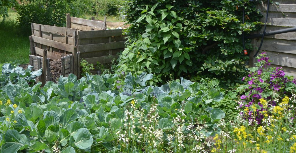 natuurlijke bestrijdingsmiddelen